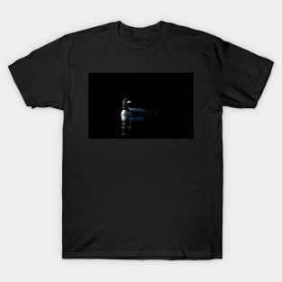 Common Loon on black water T-Shirt